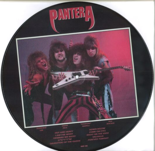 Pantera-I Am The Night (Bild LP) - Bild 2